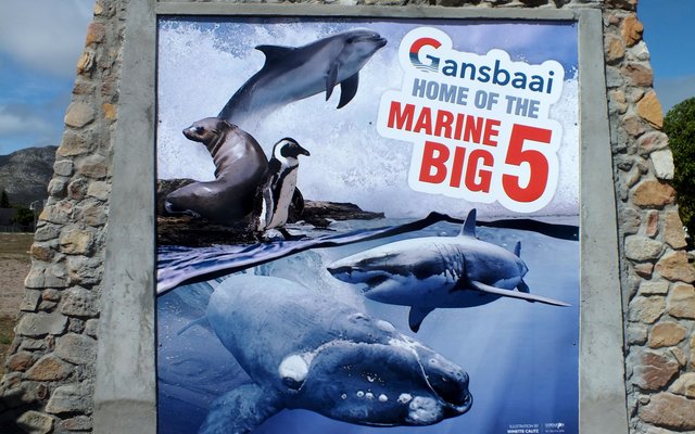 Die welkome en opgradeerde ingang na Gansbaai-dorp, met die uitbeelding van “Gansbaai Home of the Marine Big 5” op die muur links en die “Gansbaai Verwelkomings” op die muur regs